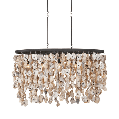 Oyster Shell Oval Chandelier - Our Boat House