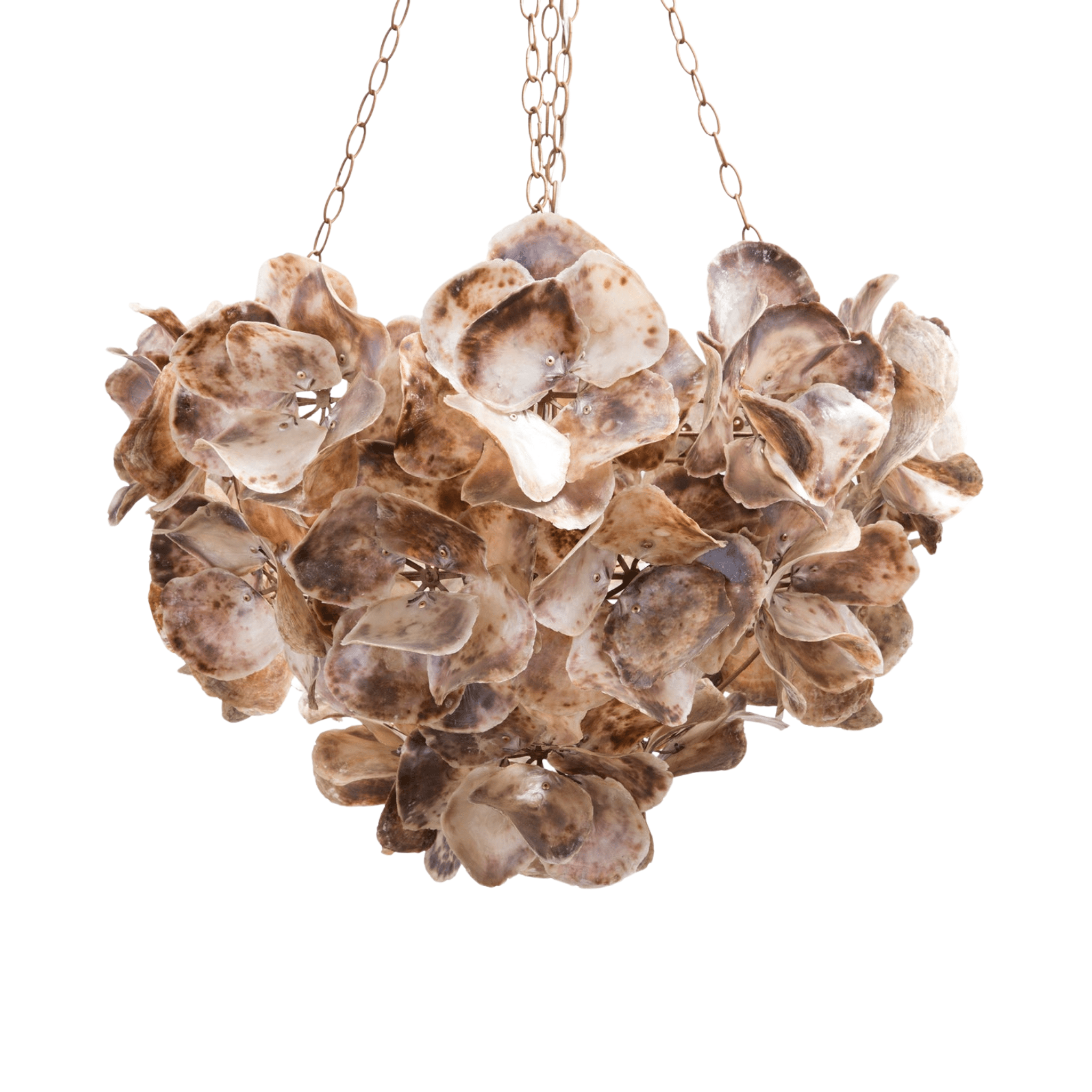 Oyster Shell Petal Chandelier - Our Boat House