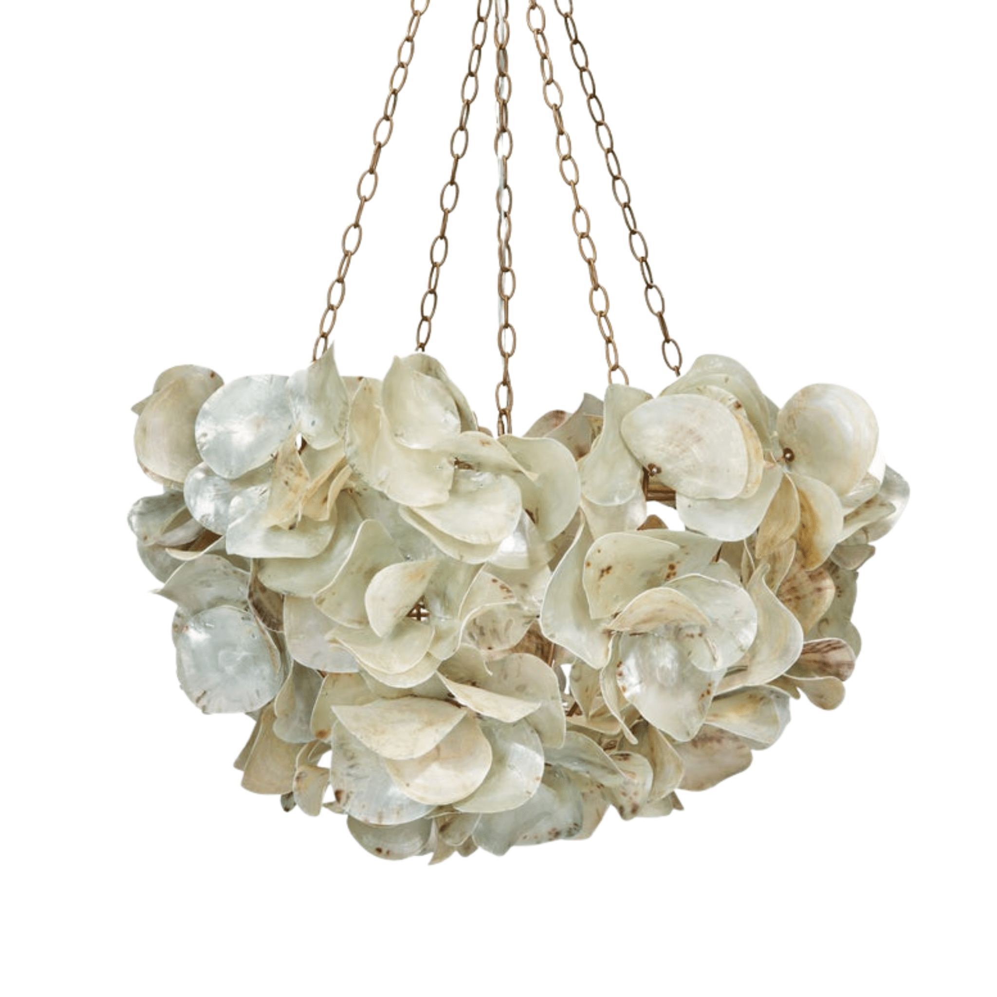 Oyster Shell Petal Chandelier - Our Boat House