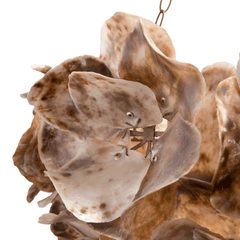 Oyster Shell Petal Chandelier - Our Boat House