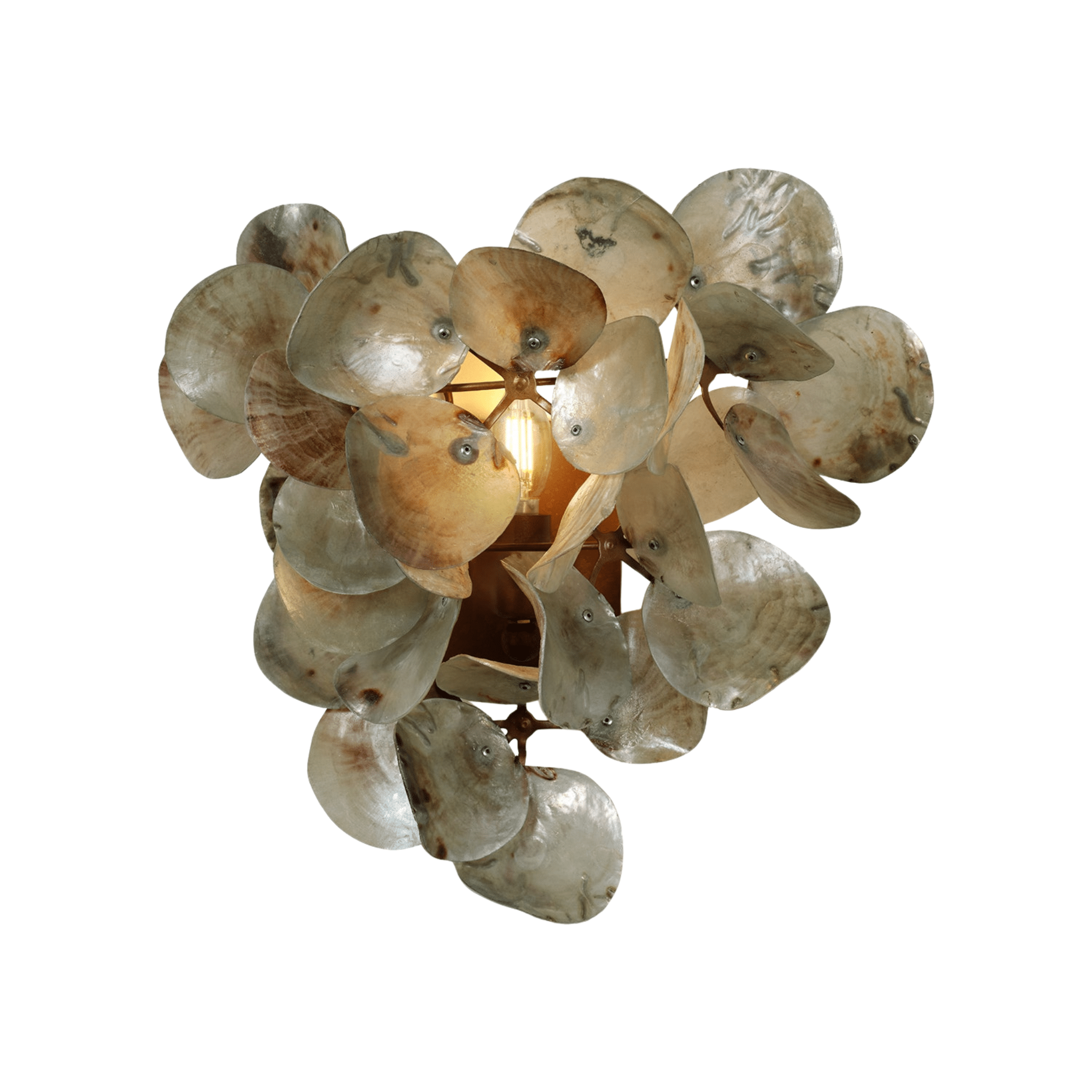 Oyster Shell Petal Sconce - Four Finishes - Our Boat House