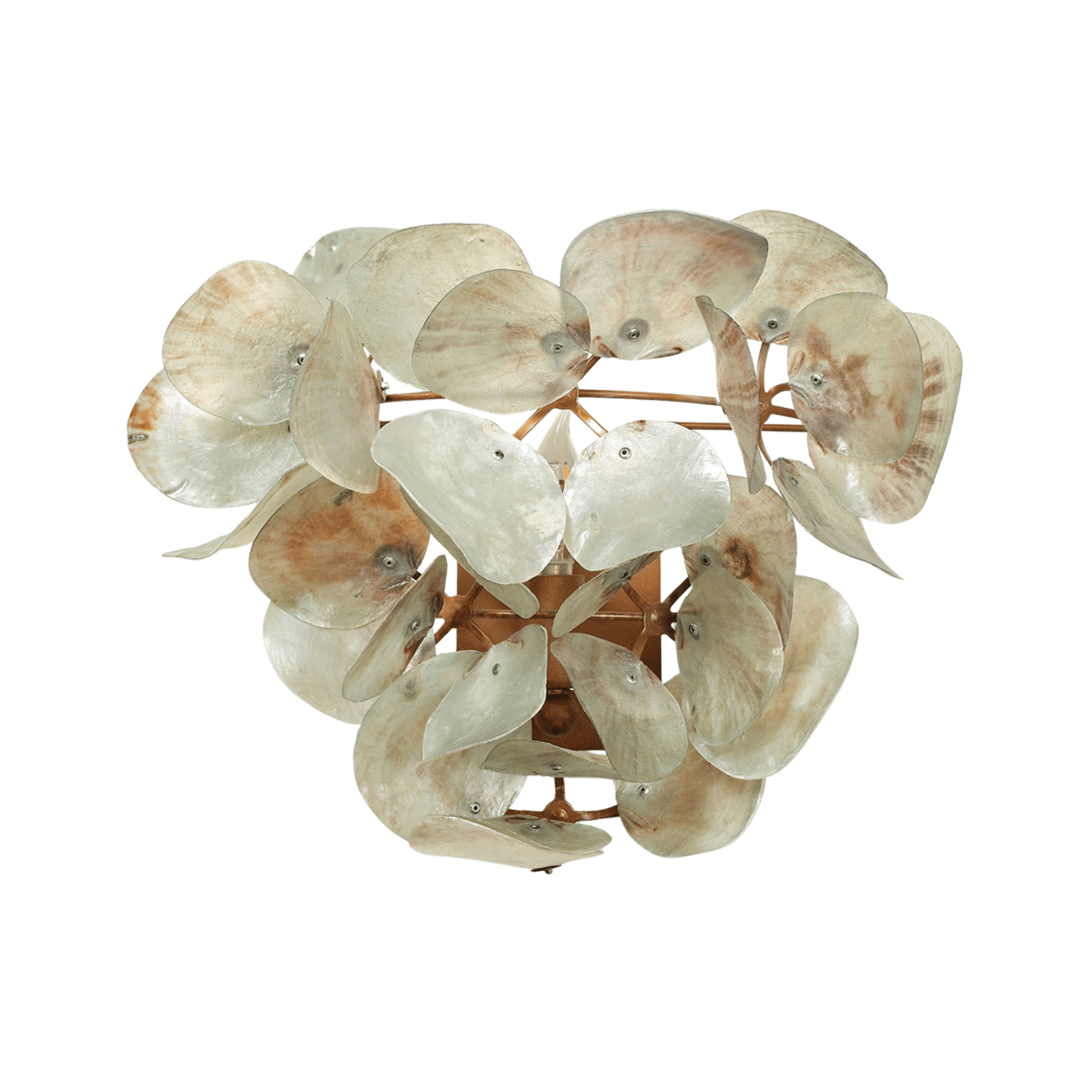 Oyster Shell Petal Sconce - Four Finishes - Our Boat House