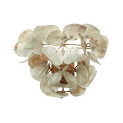 Oyster Shell Petal Sconce - Four Finishes - Our Boat House