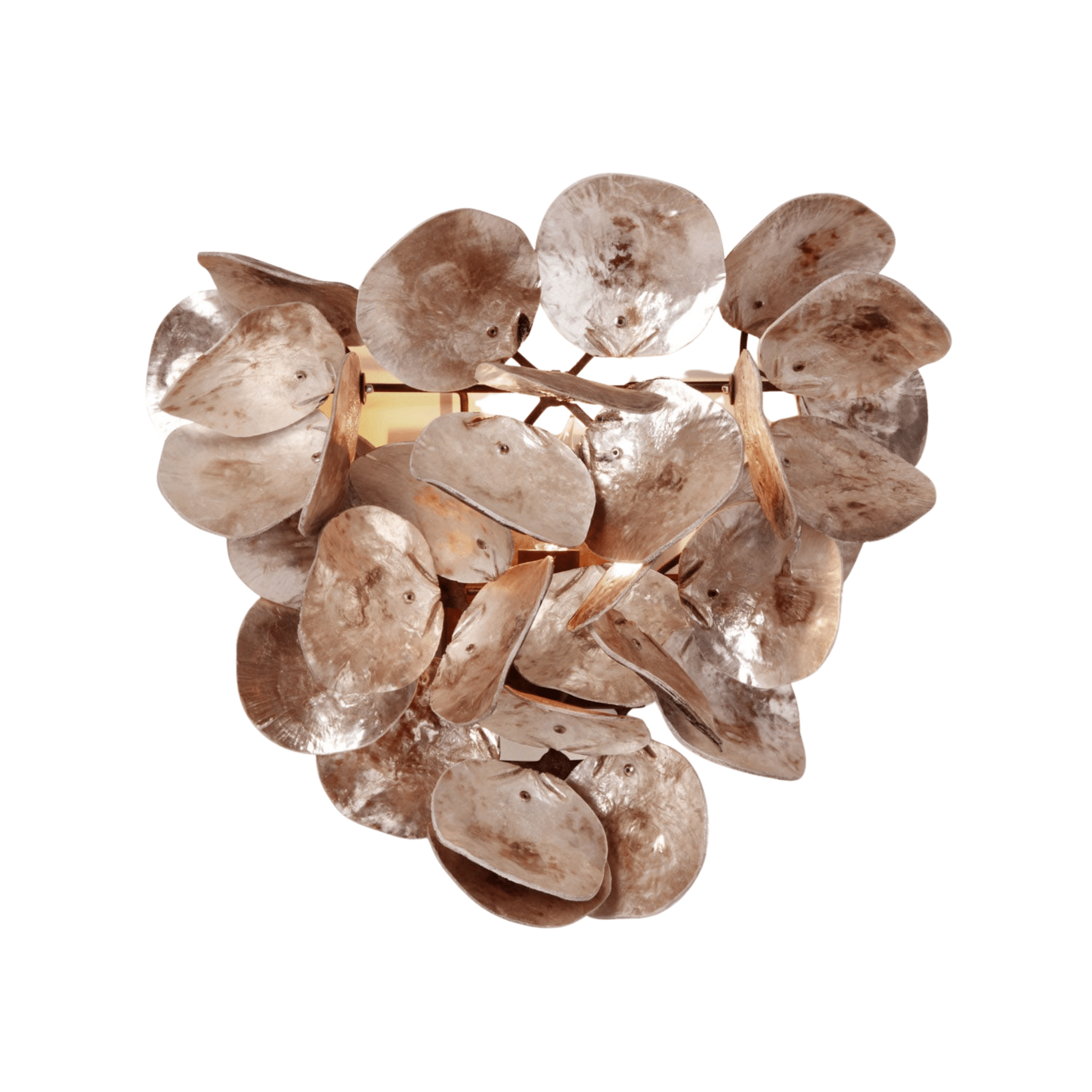 Oyster Shell Petal Sconce - Four Finishes - Our Boat House