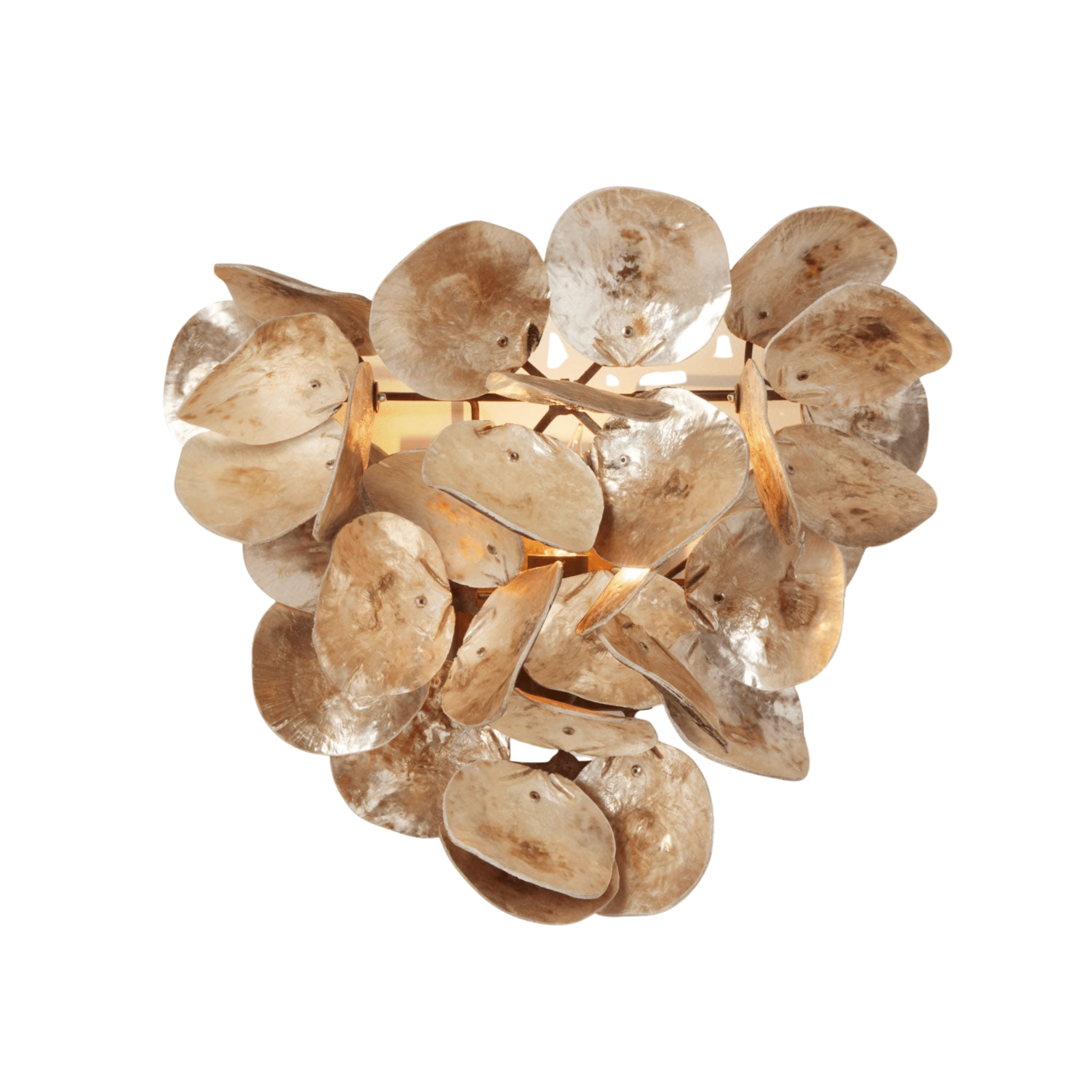 Oyster Shell Petal Sconce - Four Finishes - Our Boat House