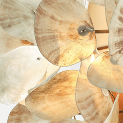 Oyster Shell Petal Sconce - Four Finishes - Our Boat House