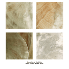 Oyster Shell Petal Sconce - Four Finishes - Our Boat House