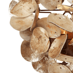 Oyster Shell Petal Sconce - Four Finishes - Our Boat House