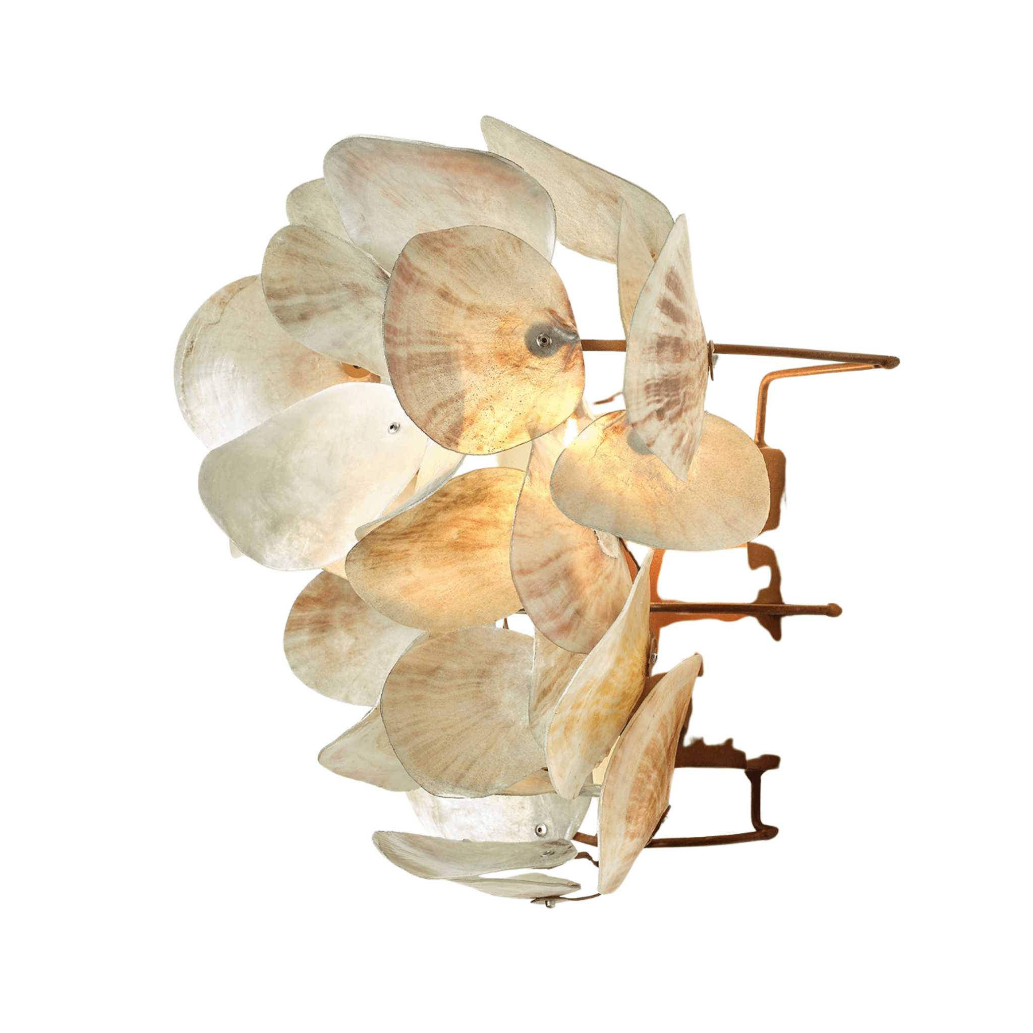 Oyster Shell Petal Sconce - Four Finishes - Our Boat House
