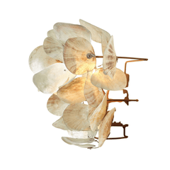 Oyster Shell Petal Sconce - Four Finishes - Our Boat House
