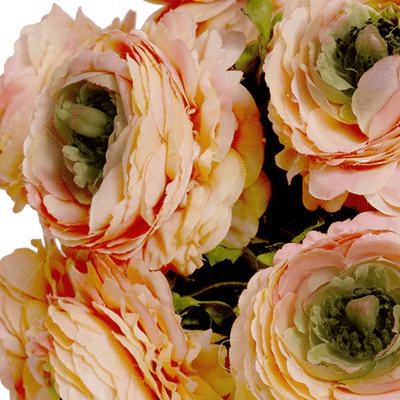 Peach Ranunculus Arrangement - Our Boat House