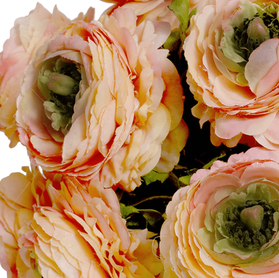 Peach Ranunuculus Peach Ranunculus Arrangement – Our Boat House