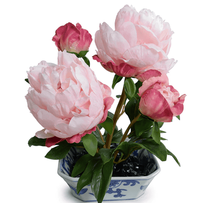 Pink Peony Cutting in Porcelain - Our Boat House