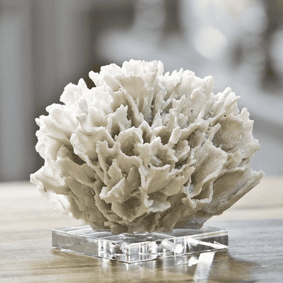 Ribbon Coral on Crystal Stand - Our Boat House