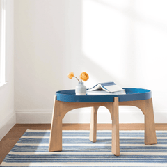 Road Runner Handwoven Indoor/Outdoor Rug - Blue - Our Boat House