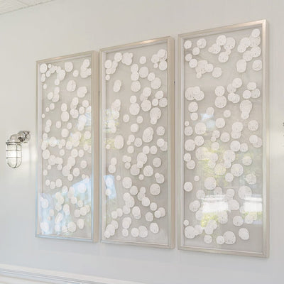 Sand Dollar Art w/Silver Frame - Several Sizes - Our Boat House