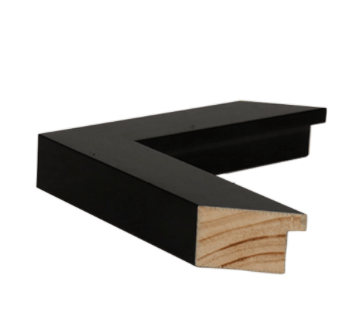 School of Fish in Blue - Framed Art - Our Boat House