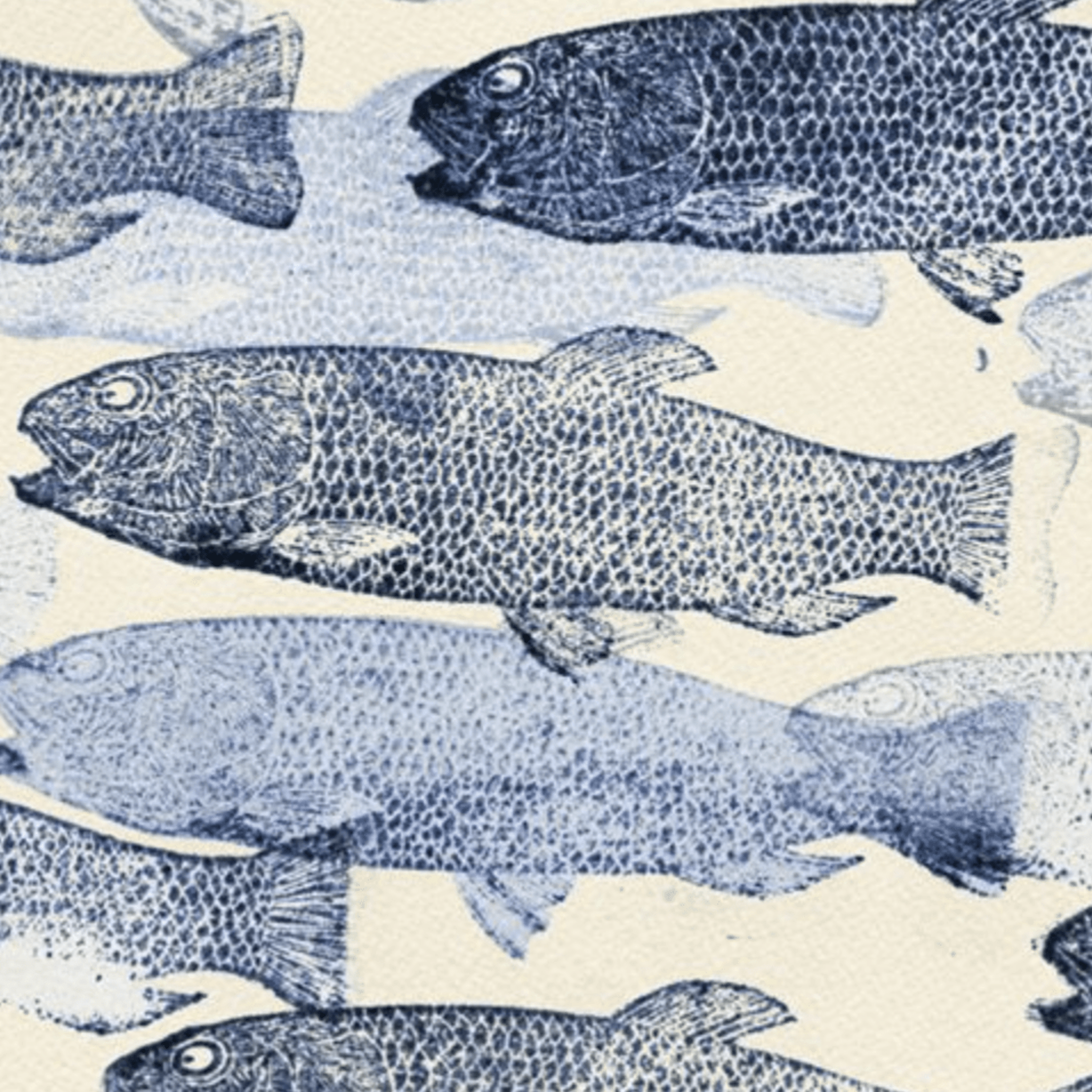 School of Fish in Blue- Framed Art - Our Boat House
