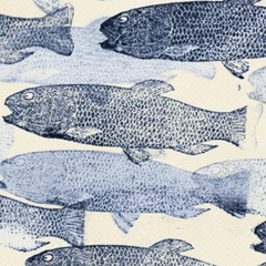 School of Fish in Blue- Framed Art - Our Boat House