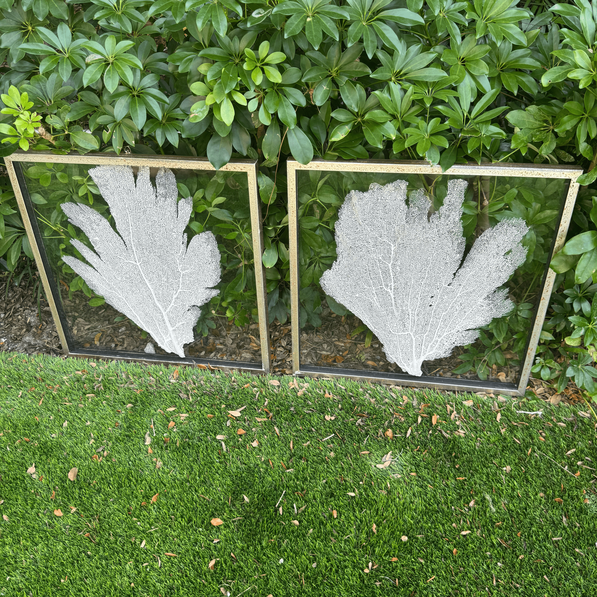 Sea Fan Art 1 - In Stock - Our Boat House