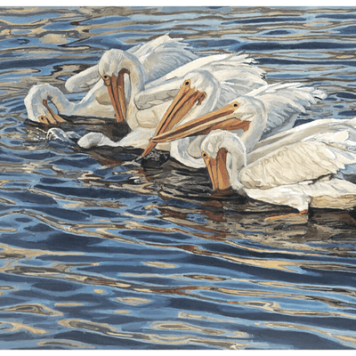Six White Pelicans Giclee - Our Boat House