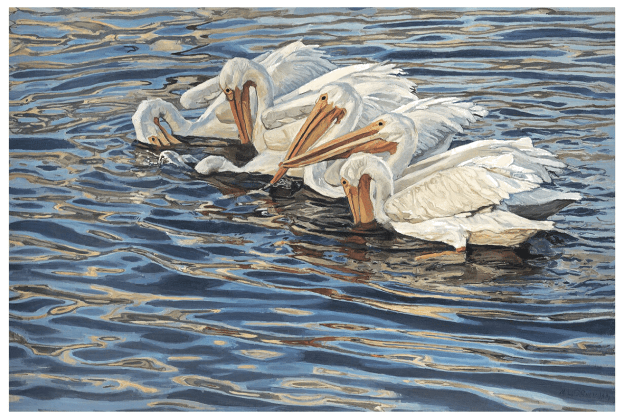 Six White Pelicans Giclee - coastal inspired home furnishing