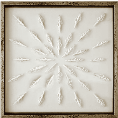 Sliced Spindle Shells Framed - Our Boat House