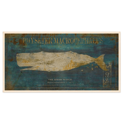 Sperm Whale - Framed Giclee