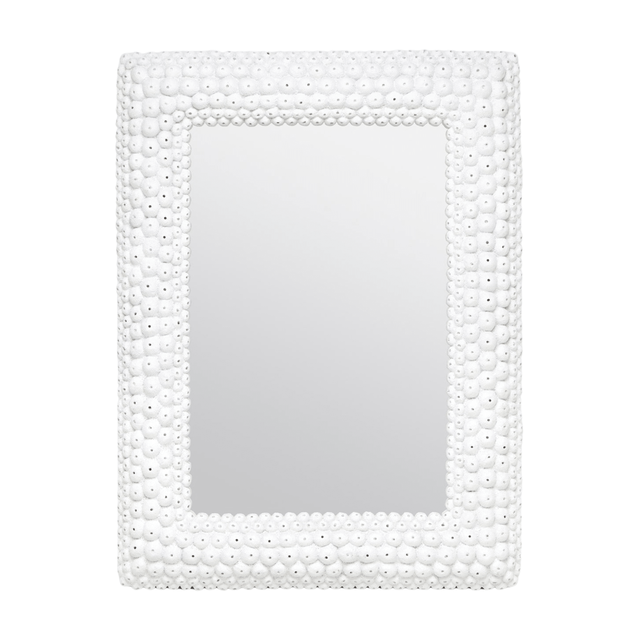 Ursula Sea Urchin Rectangular Mirror - Our Boat House
