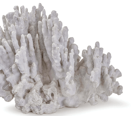 White Coral Art Piece Large - Our Boat House