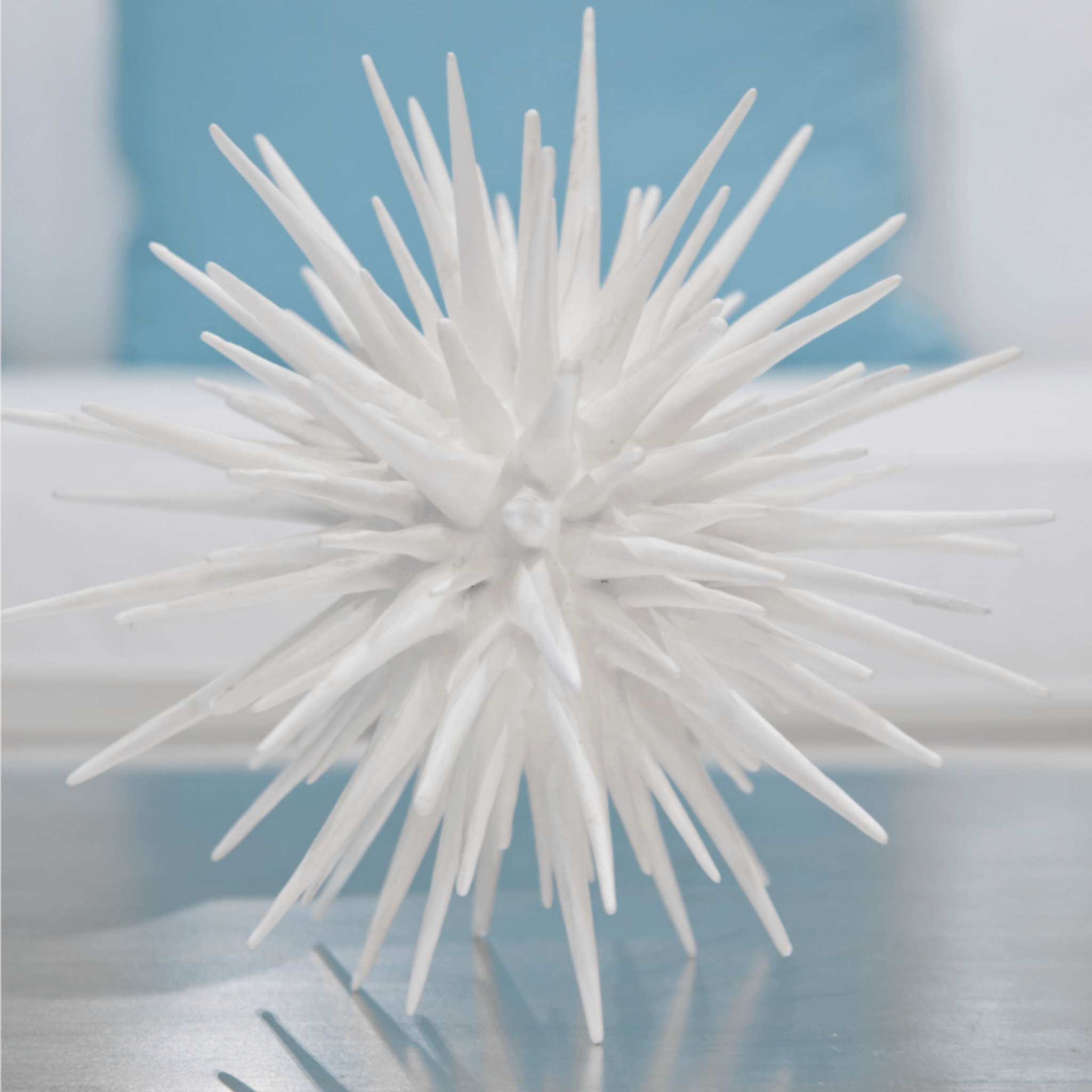 White Sea Urchin - Three Sizes