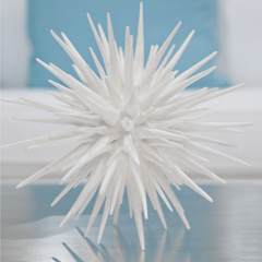 White Sea Urchin - Three Sizes