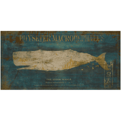 Sperm Whale 54x27 - Framed Giclee Art 