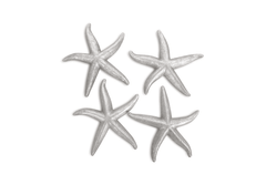 Silver Starfish Set of 4 