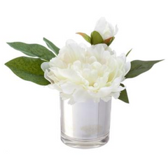 White Peony in  Glass Vase - 7