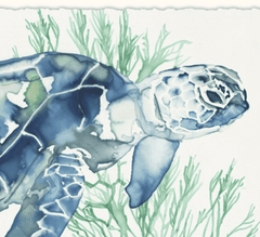 Buoyant Sea Turtle 1 Art 