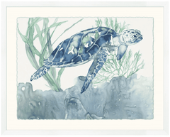 Buoyant Sea Turtle 1 Art 