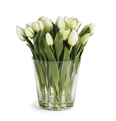 Dutch White Tuliip Arrangment in Vase 15
