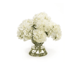 White Hydrangeas in Vase Floral 
