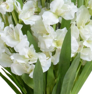 Gladiolus Arrangement Floral 