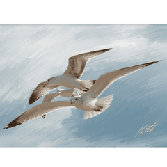 Seagull Giclee Framed Art 