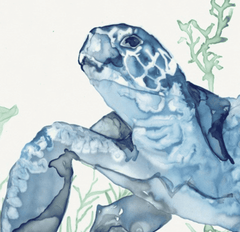 Buoyant Sea Turtle 2 Art 