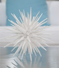 White Sea Urchin - Three Sizes
