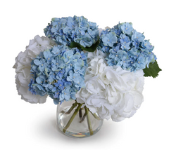 Hydrangea Blue & White Arrangement