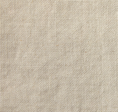 Fabric Swatch - Island Collection: Brevard Birch