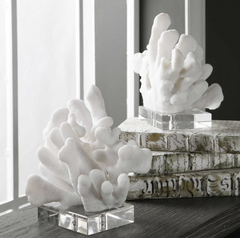 White Coral Bookends - 2 Pairs