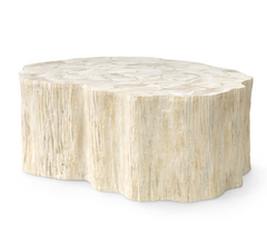 Cota Fossilized Clam Coffee Table