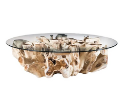 Hailey Teak Root Coffee Table w/Tempered Glass