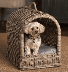Nottingham Canopy Bed - Pet Dog 