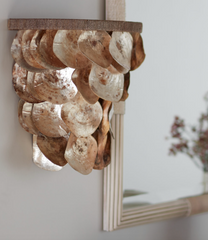 Placuna Wall Sconce